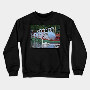 Swan swimming with some friends Crewneck Sweatshirt